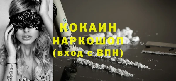 индика Алзамай