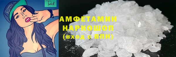 индика Алзамай