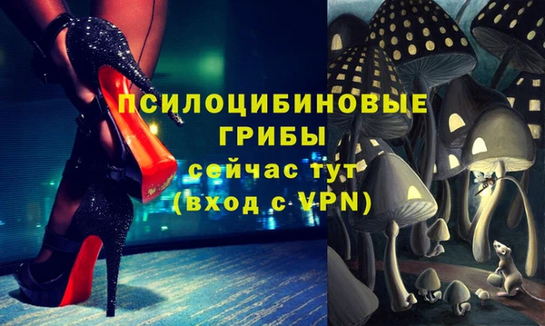 сатива Абаза