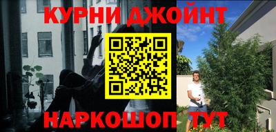 индика Апрелевка