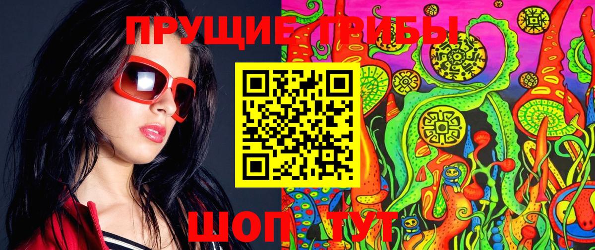 Псилоцибиновые грибы мицелий Богородск